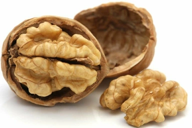 Walnut