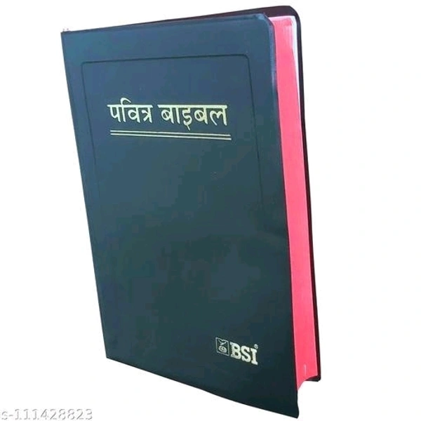 The Holy Bible: Hindi- O.V Re Edited Norman Size (Updated 2019) Containing Old And New Testament | New Edition | Hindi Bible | Pavitra Bible - Free Size