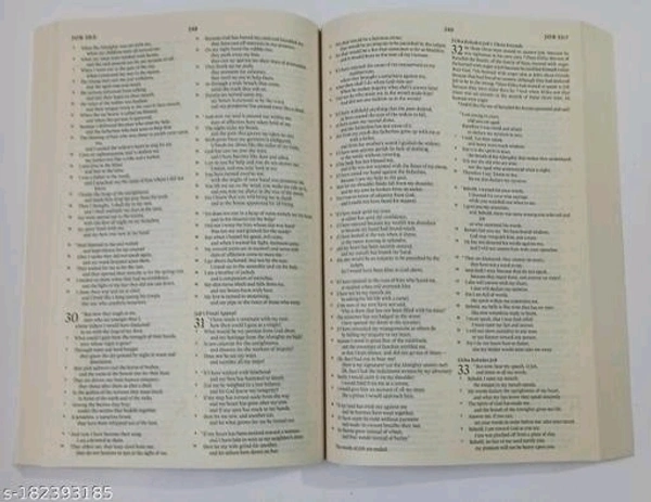English Holy Bible ESV VERSION / Paper Back - Free Size