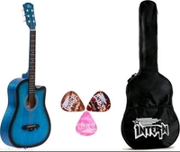 intern INT-38C-LGP-BLS Acoustic Guitar Linden Wood Rosewood Right Hand Orientation  (Multicolor) - Free Size