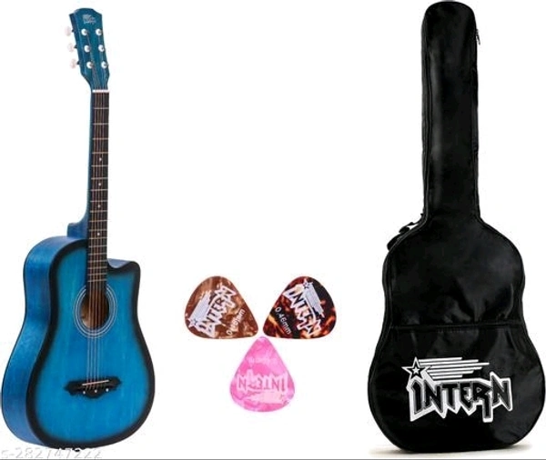 intern INT-38C-LGP-BLS Acoustic Guitar Linden Wood Rosewood Right Hand Orientation  (Multicolor) - Free Size
