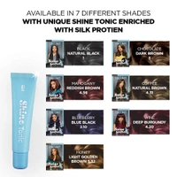 BBlunt Bblunt Salon Secret High Shine Crème Hair Colour, 100g - 4.31 (Coffee Natural Brown) With Shine Tonic, 8ml Buy 2 Get 1 Free  - Free Size, Coffee Natural Brown