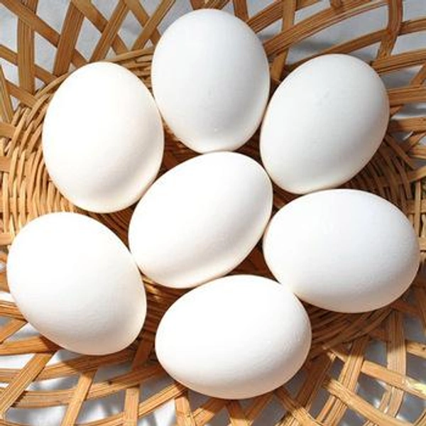 Full Plate Egg 