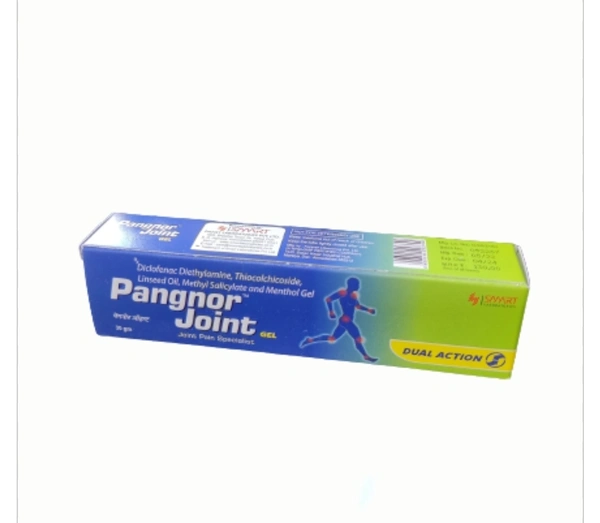 Pangnor Joint Gel 30gm 