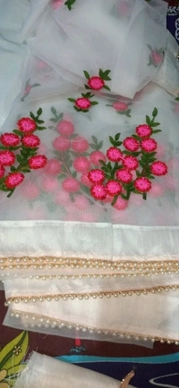 Women's Net Saree With Unstitched Blouse Piece - S-1