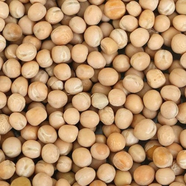 Hawai mapum (Yellow Pea) - yellow
