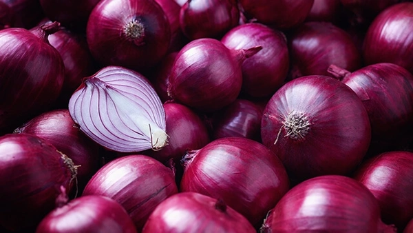 Onion - red 