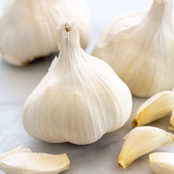 Garlic  - white 