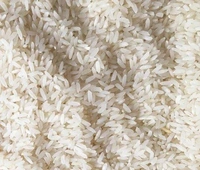 Anmol Rathan Kolam rice-1kg - White, Loose, RIDDHI SIDDHI KIRANA