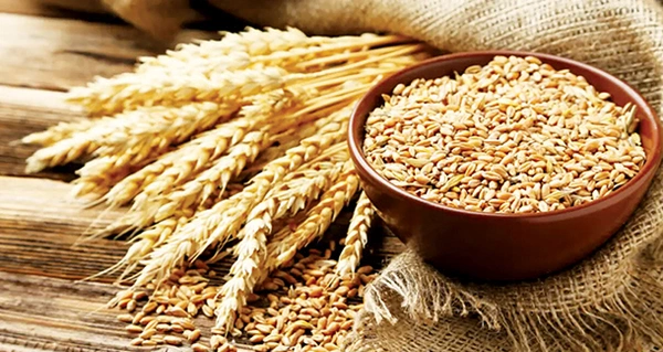 Bhojan Samrat  Wheat- 1kg - Brown, RIDDHI SIDDHI KIRANA