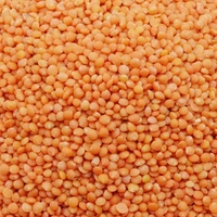 Own Brand  Masoor Dal- 500g  - RIDDHI SIDDHI KIRANA