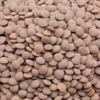 Own Brand  Masoor- 500g - RIDDHI SIDDHI KIRANA