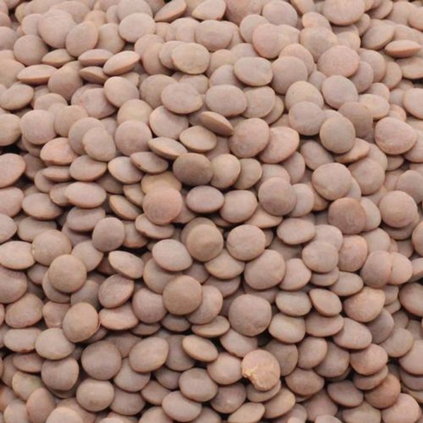 Own Brand  Masoor- 500g - RIDDHI SIDDHI KIRANA