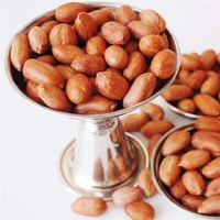 Own Brand  Shengdana- 500g - RIDDHI SIDDHI KIRANA