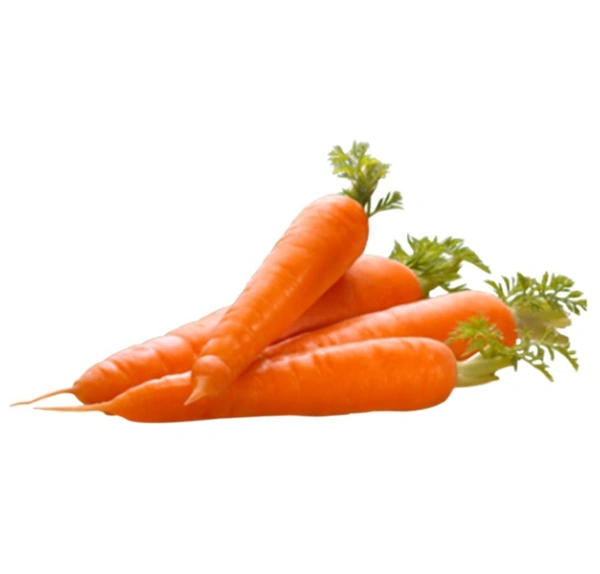 Carrot