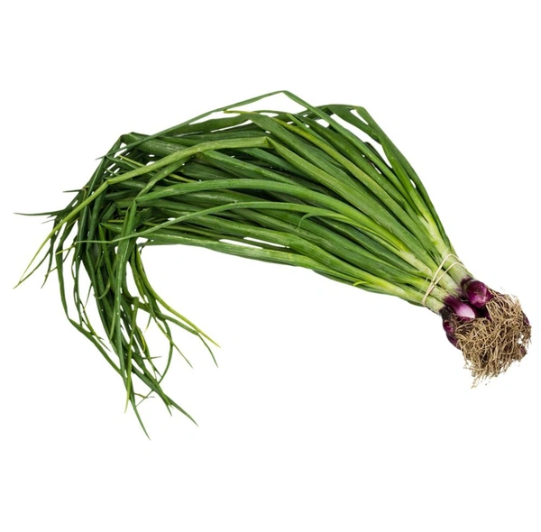 Spring Onion 1 Bunch ( 125g-225g)