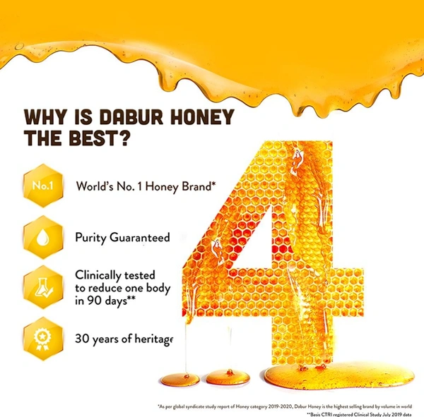 Dabur Honey 500 g