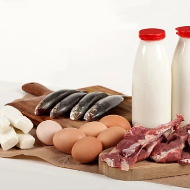 Dairy & Meat Zone