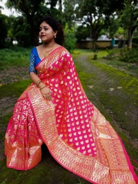 Banarasi Saree
