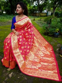 Banarasi Saree