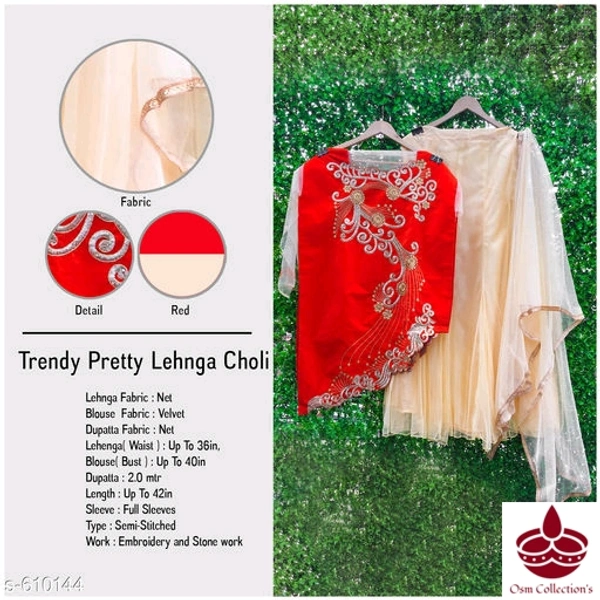 Lehenga Choli