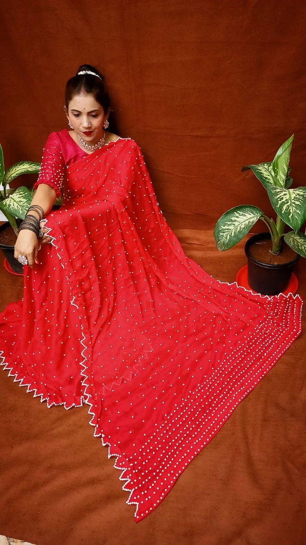 Moti Work Saree