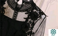 Women Stylish Top - Black, Sexy Lantern Sleeve 3D Floral Women Tops With InnerFabric: NetSleeve Length: Long SleevesPattern: La