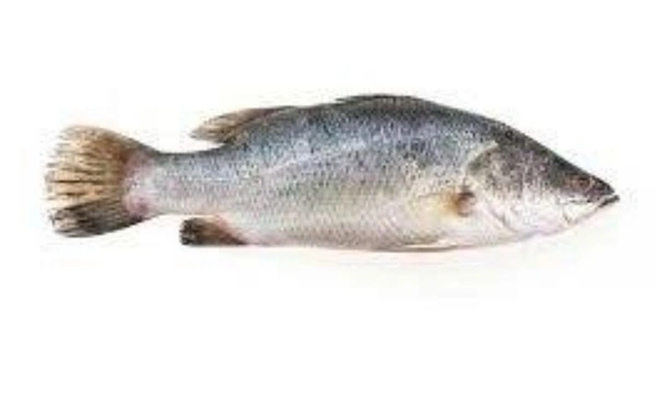 Emperor/விலை மீன்(One Kg)