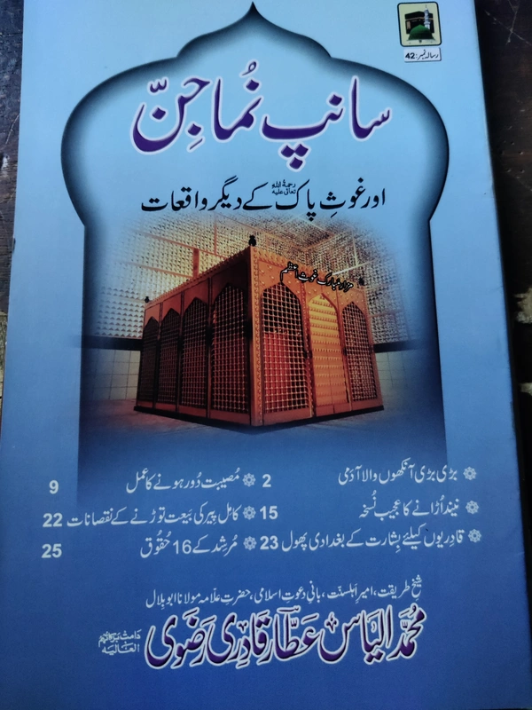 Saanp Numa Jin