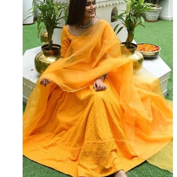 Lucknowi Chinkari Anarkali Gown With Duppata  - XL