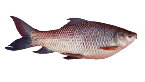 Fish Pickle On Bone - 1 kg