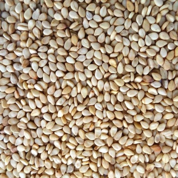 Nuvvula Karam/ Sesame Seeds Spice Powder - 1kg 