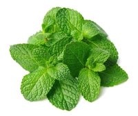 Pudina Karam/ Mint Leaf Spicepowder - 500 gms