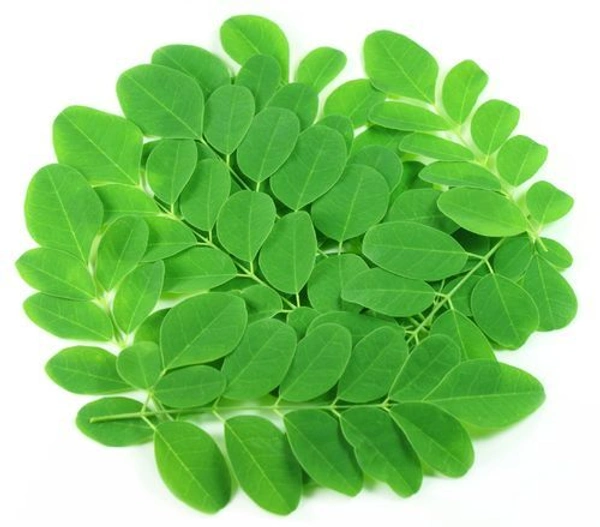 Drumstick  Leaf / Moringa Leaves Pickle - 500 Gms