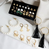 Earring Set | Pack of 17pair of earrings  for everyday wear Party Wear  | Gifts for Women | Ers01  V21311  - Free Size