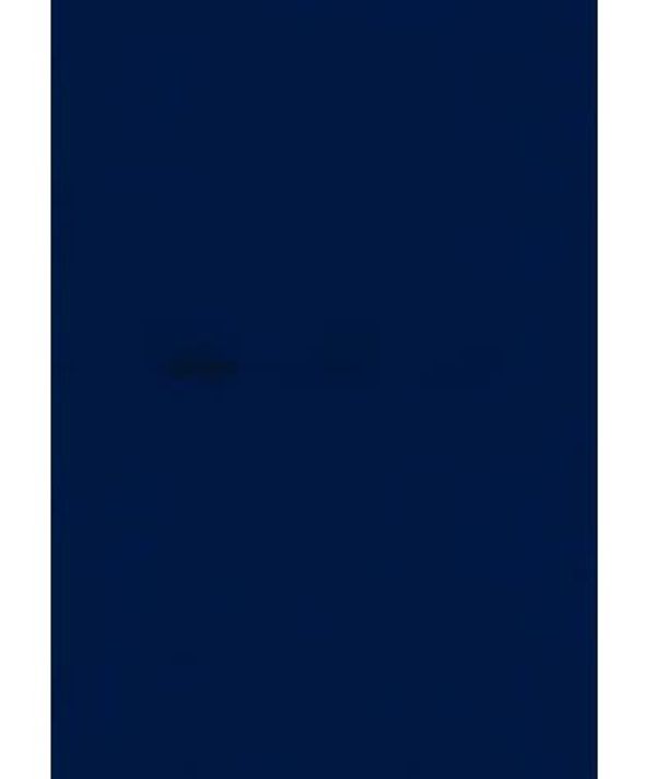 Pastel Paper Colour BLUE 22x28 inch Sheets 180GSM