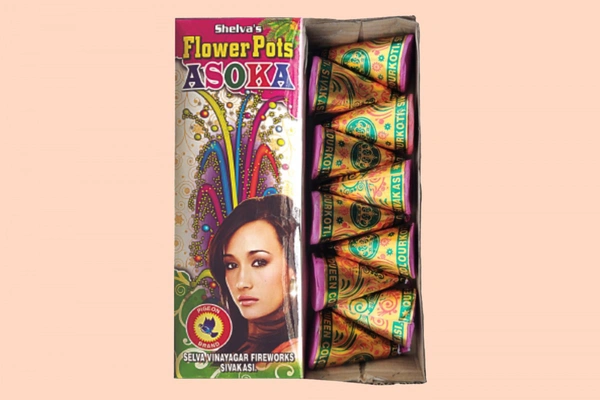 Flower Pots Ashoka