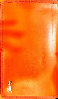 LPM Document Bag A6 - A6, Orange, Parrot Green, Pink