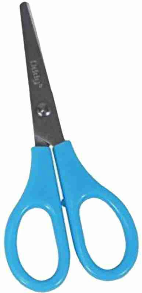 Oddy Scissors 5 Inch | SS500A - 5 inch
