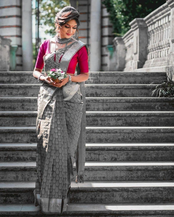 Fancy Jaquard Saree - Free Size