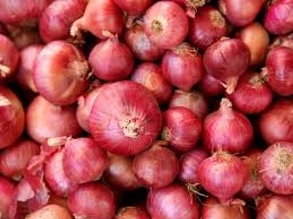Fresh Onion 