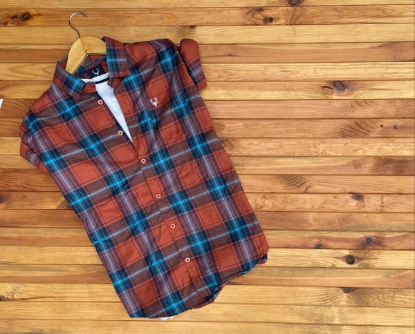 Allen Solly Check shirt  - L, Brown