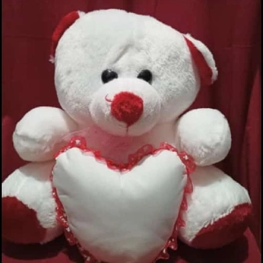 White Teddy Bear