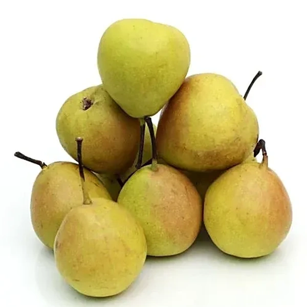 Indian Pear  - (500gm)
