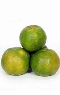  Oranges / Nagpur Oranges  - ( 1kg)