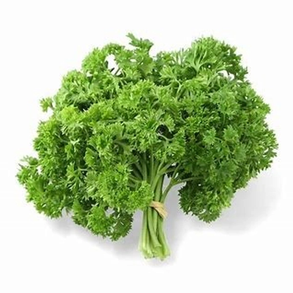 Parsley  - Parsley Patta  - Parsley Patta (पार्सली पत्ता 125g) - (125gm)
