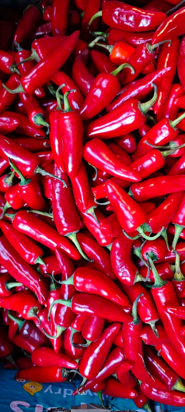 Red Chilli Pepper  - (250gm)