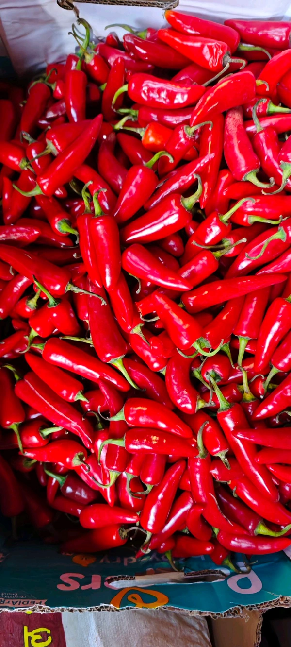 Red Chilli Pepper  - (250gm)