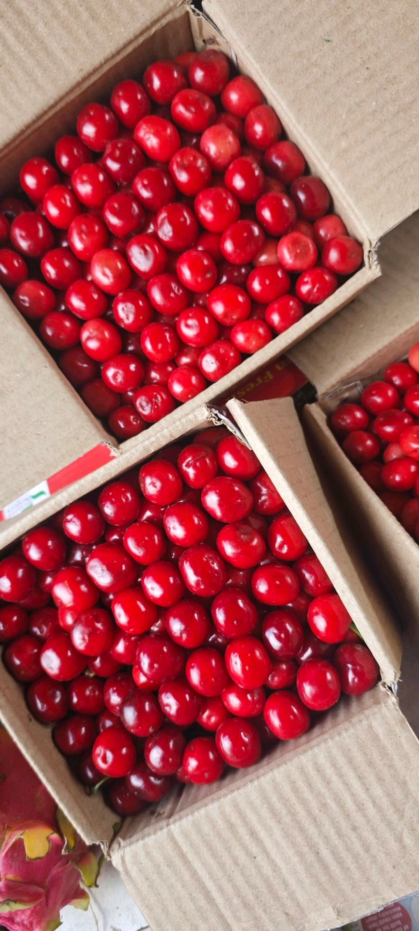 Indian Cherry (Desi Cherry / Jam Cherry) 🍒 - (500gm)