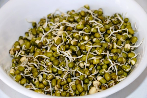 Moong Sprouts  - मूंग किव्हा मूग केंवळ (Moong/Kiwha Moog Keval) - (250gm)